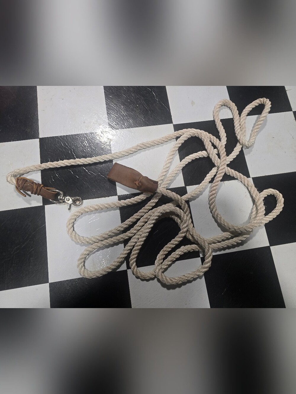 Classic Cotton Rope Dog Leash with Leather Trim - Cream